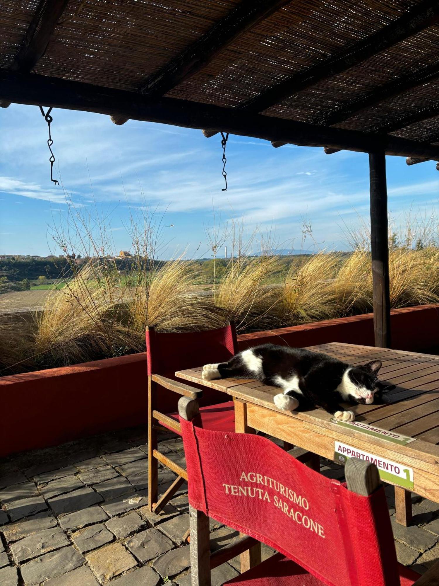 Tenuta Saracone Montalto di Castro Extérieur photo